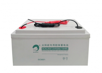 劲博蓄电池6CNJ65